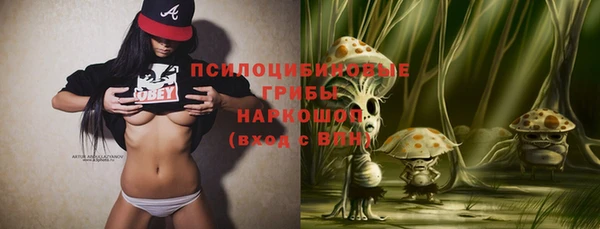 PSILOCYBIN Богородск