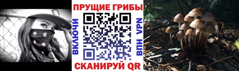 Галлюциногенные грибы ЛСД Трубчевск