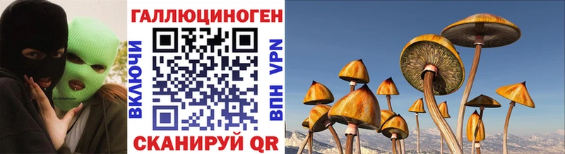 Галлюциногенные грибы GOLDEN TEACHER  Трубчевск 